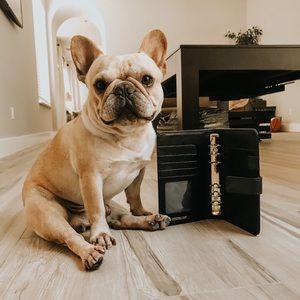 A6 - 6 Ring Binder! * BRAND NEW *